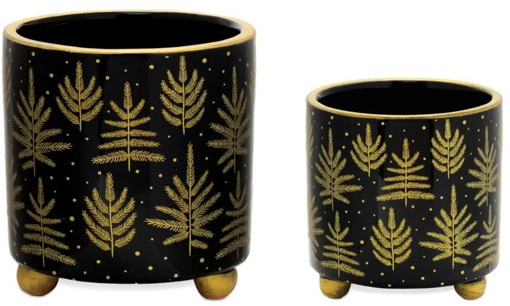 Small 4.25 Inch Black and Gold Dolomite Container-1