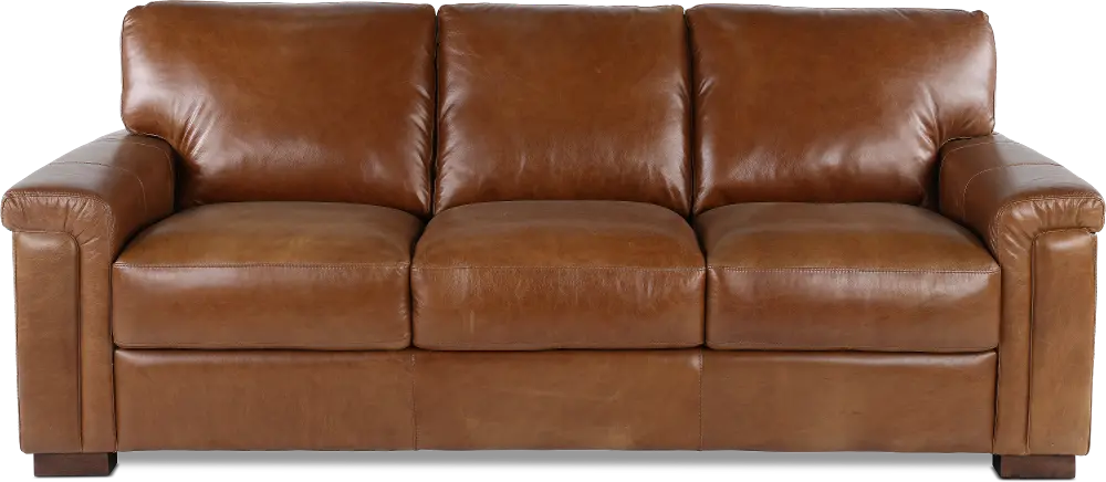 Splendor Brown Leather Sofa-1