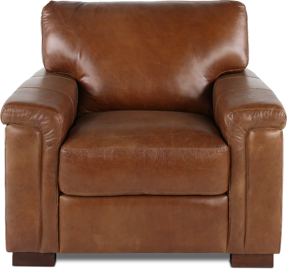 Splendor Brown Leather Chair-1