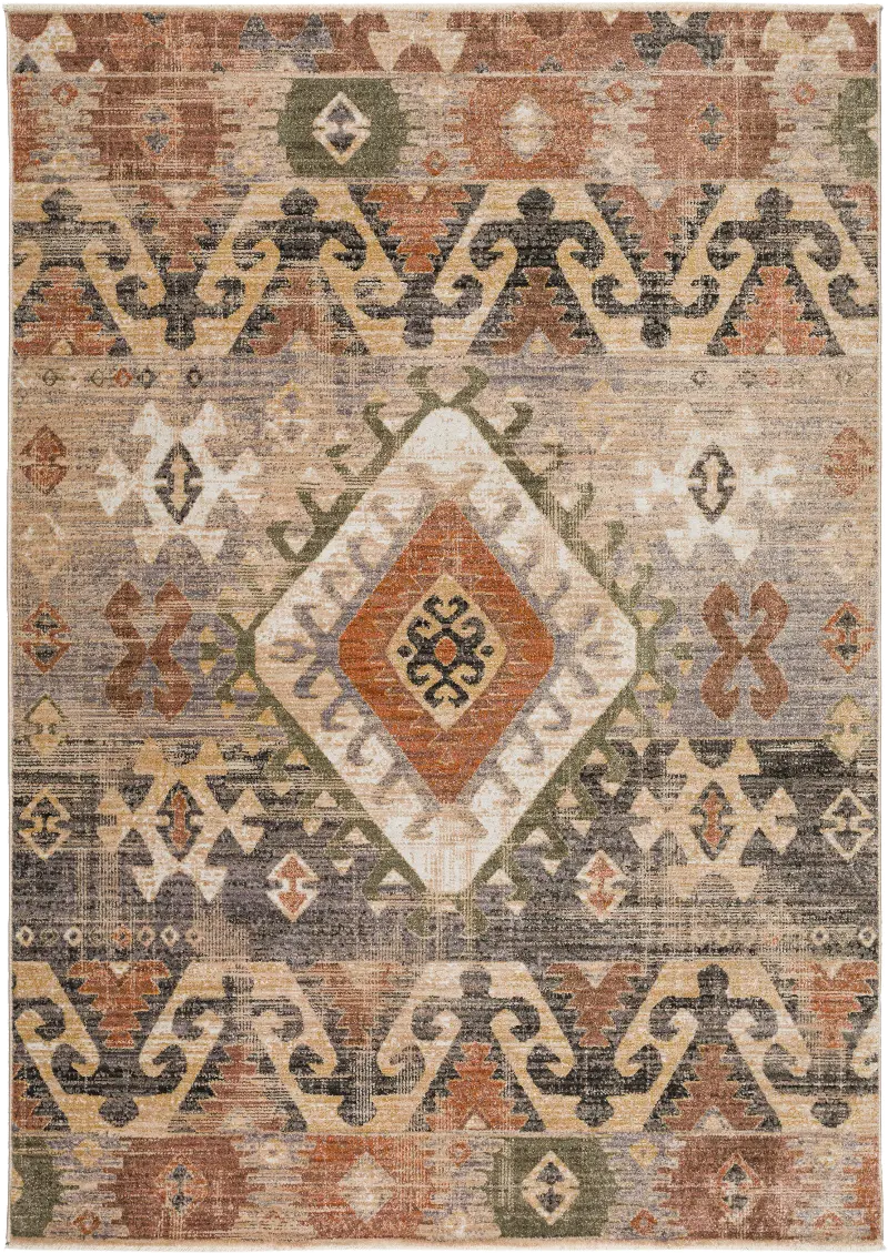 Odessa 5 x 8 Canyon Rust Area Rug