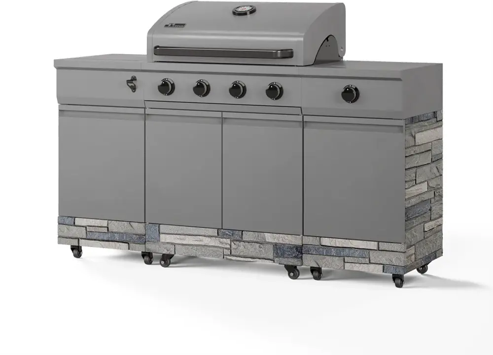 Tytus Fresno 5-Burner LP/NG Convertible Grill in Gunmetal + Shadow ...