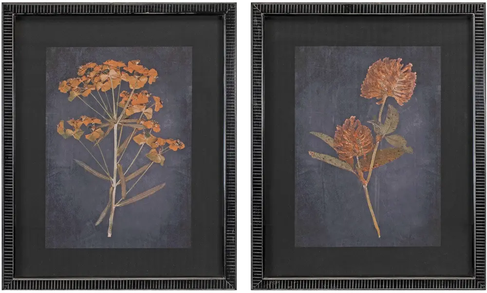 Framed Botanical Art Set of 2-1