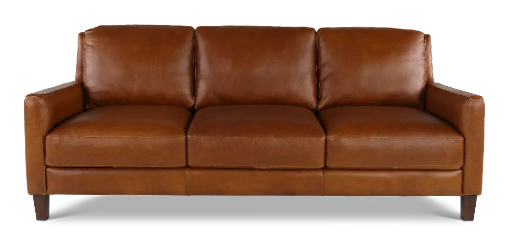 Leon Brown Leather Sofa-1