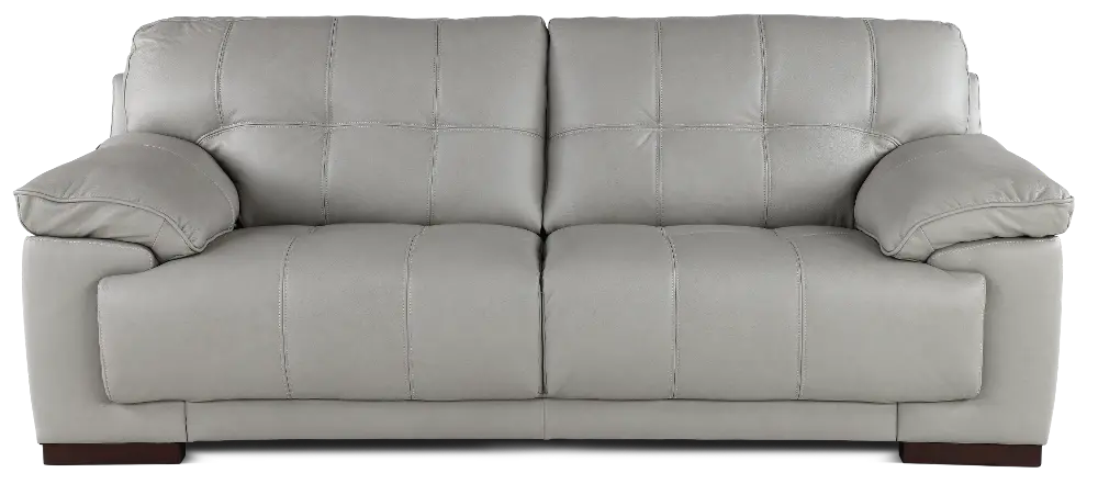 Baron Gray Leather Sofa-1