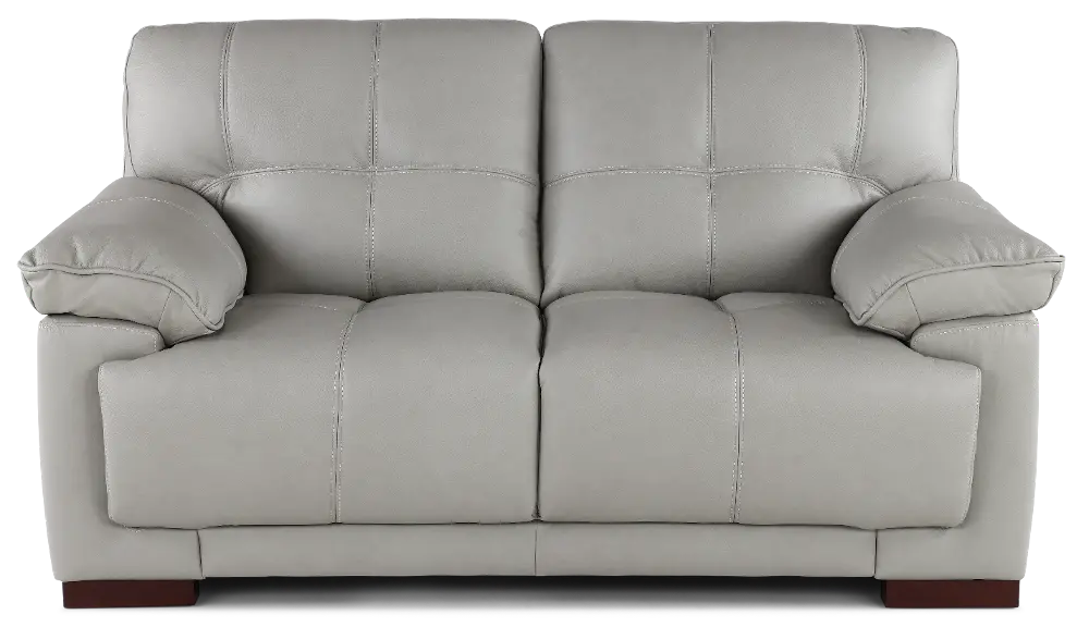 Baron Gray Leather Loveseat-1