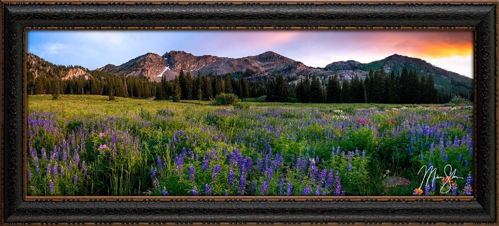 Albion Basin Sunset Framed Canvas
