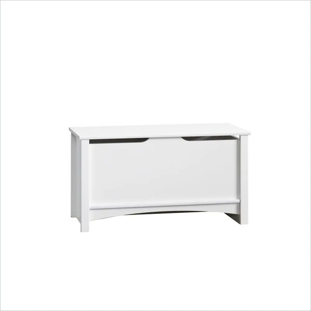 F04711.46 White Storage Chest - Relaxed Traditional-1