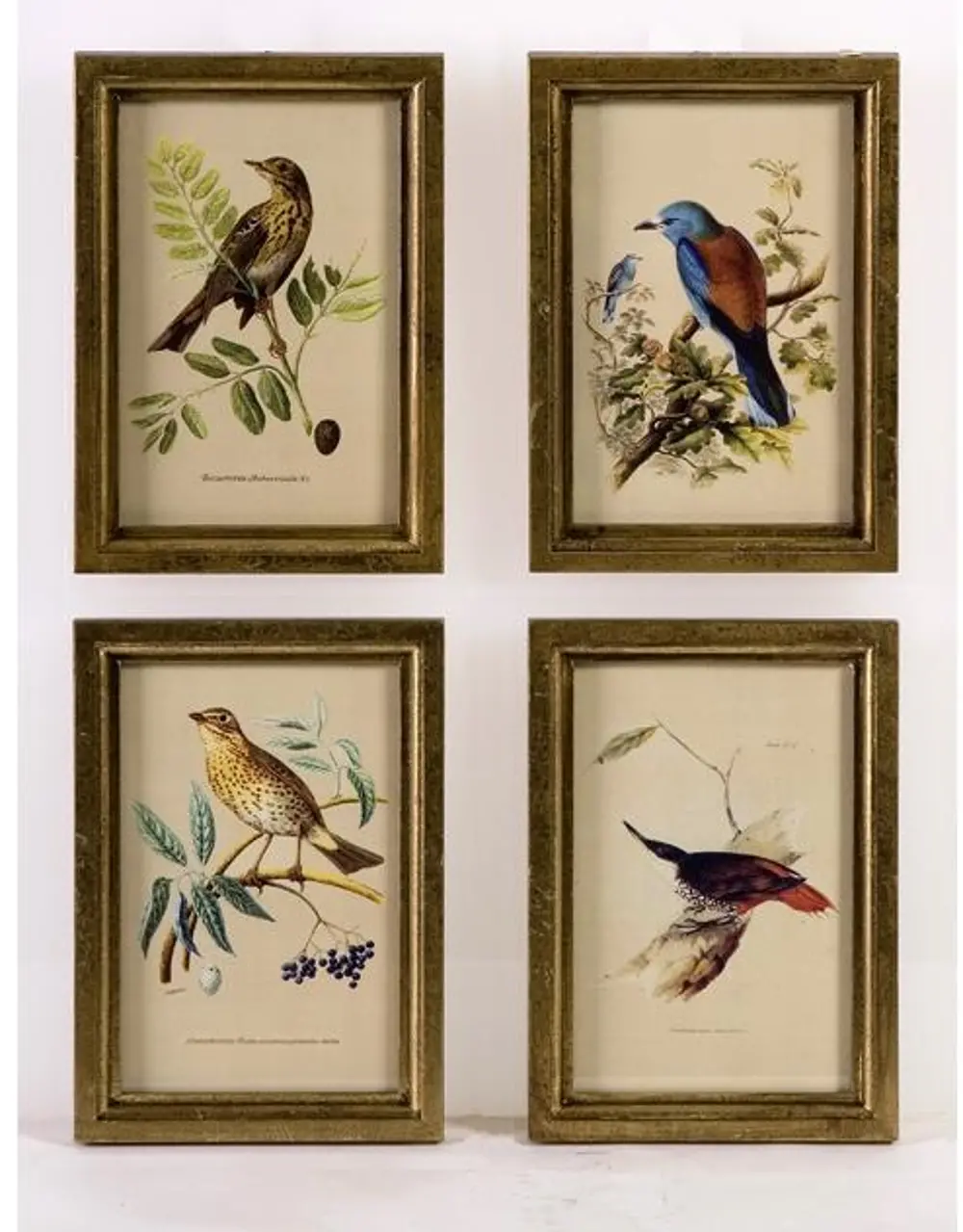 Bird Plaques -  Set of 4-1