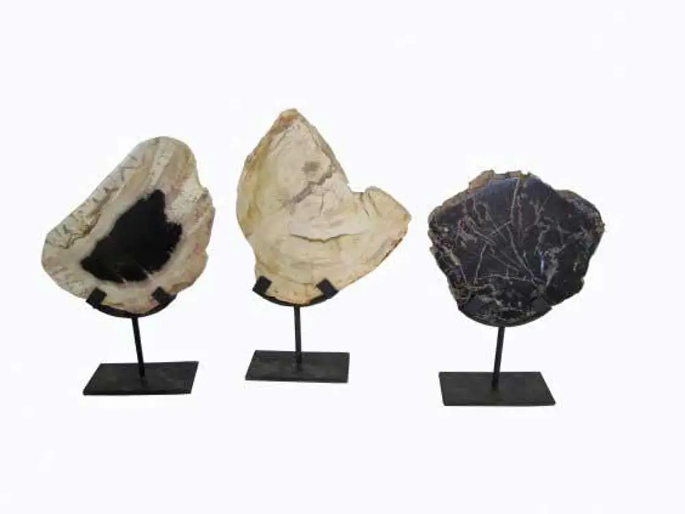 Assorted Petrified Wood on Stand-1
