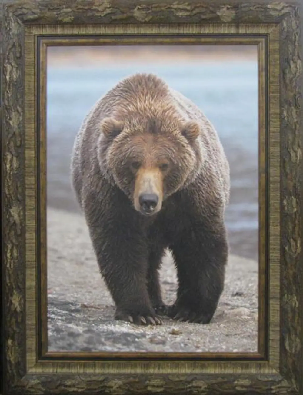 Grizzly Bear Framed Art-1