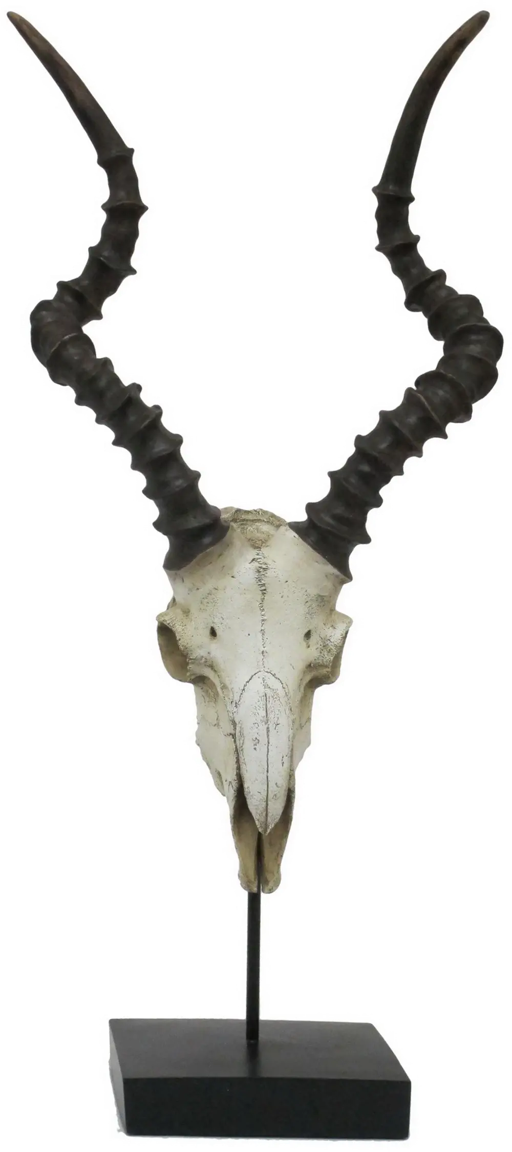 Resin Table Top Animal Skull-1