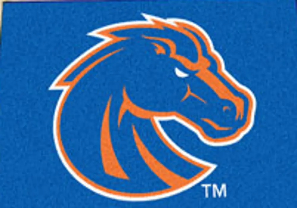 4394 2 x 3 X-Small Boise State Area Rug-1