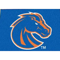 4394 2 x 3 X-Small Boise State Area Rug-1