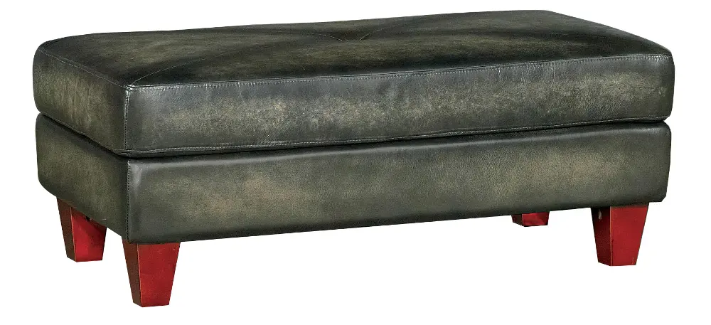 Traditional Charcoal Gray Leather Storage Ottoman - Fusion-1