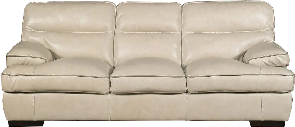 Casual Contemporary Wheat Leather Sofa - Colours-1
