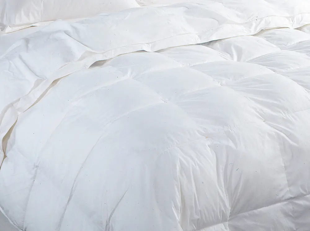 HCDC7525QN White Queen Down and Feather Comforter-1
