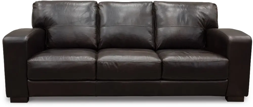 Casual Contemporary Brown Leather Sofa - Aspen-1