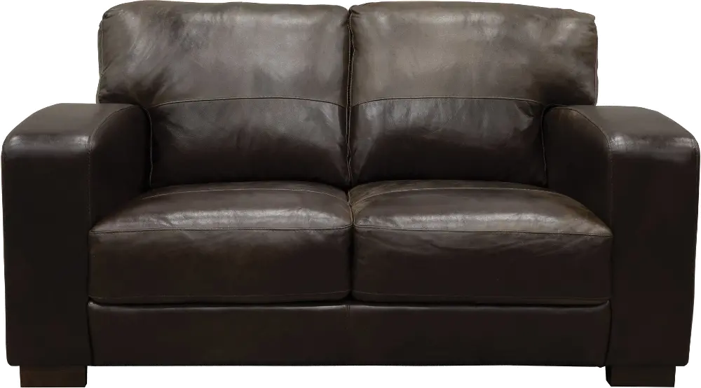 Casual Contemporary Brown Leather Loveseat - Aspen-1