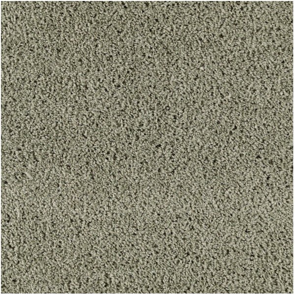 Carpet Flooring Near You Rc Willey Furniture Karastan Casa Bella Carpet Mohawk Serene Forest