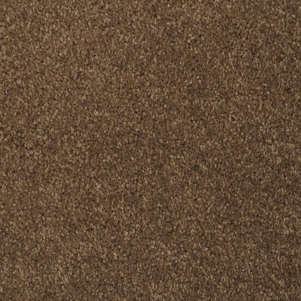 Flooring Carpet Laminate Rc Willey Searching Masland Masland Tangier Carpet Stainmaster Dream Seeker