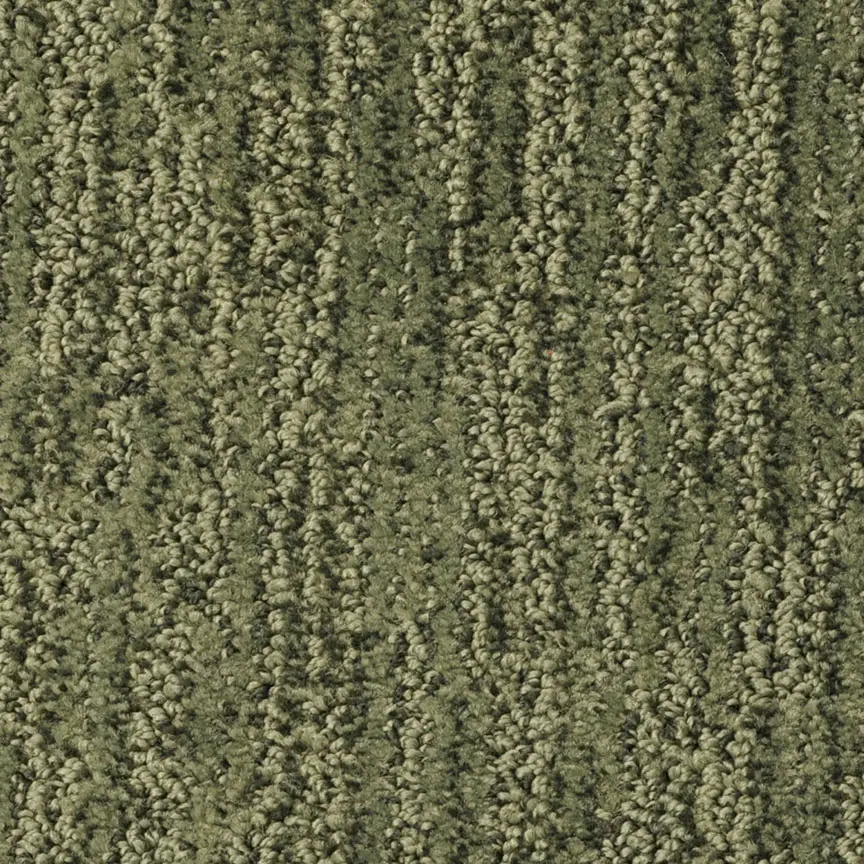 MSL.MESA.VERDE Masland Mesa Verde Carpet-1
