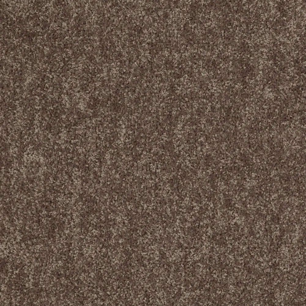 QUE.ESSENCE.III Shaw Essence III Carpet-1