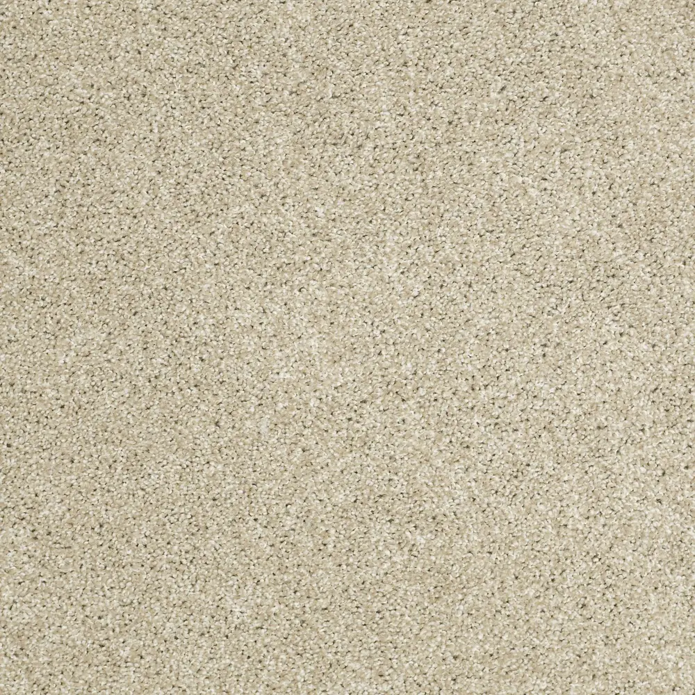 PHL.UNCOMPLICATED Shaw Uncomplicated Carpet-1