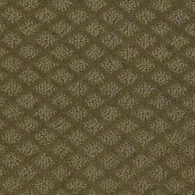 Shaw Bounteous Carpet Rc Willey Furniture Shaw Nature S Own Carpet