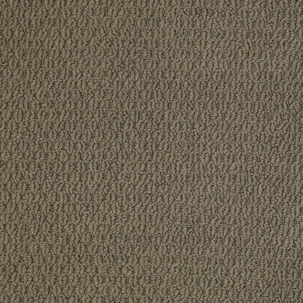 PHL.BOUNTEOUS.MD Shaw Bounteous Carpet-1