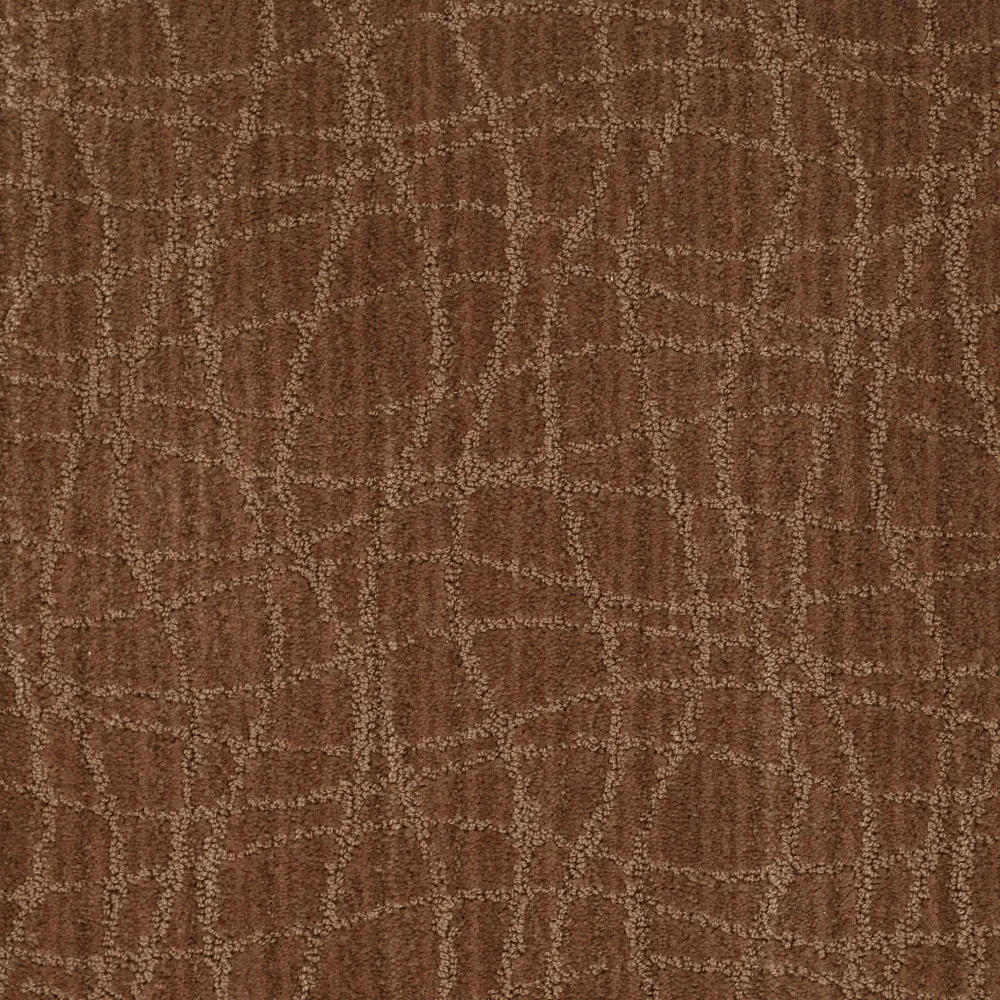 DSW.NATURALLY.YOURS.MD Tuftex Naturally Yours Carpet-1