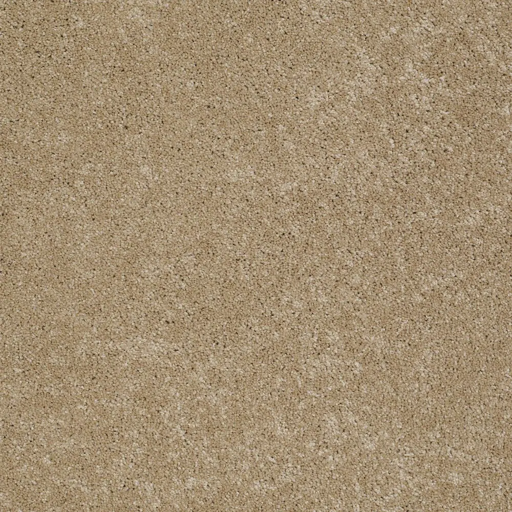 DSW.REX.MD Tuftex Rex Carpet-1