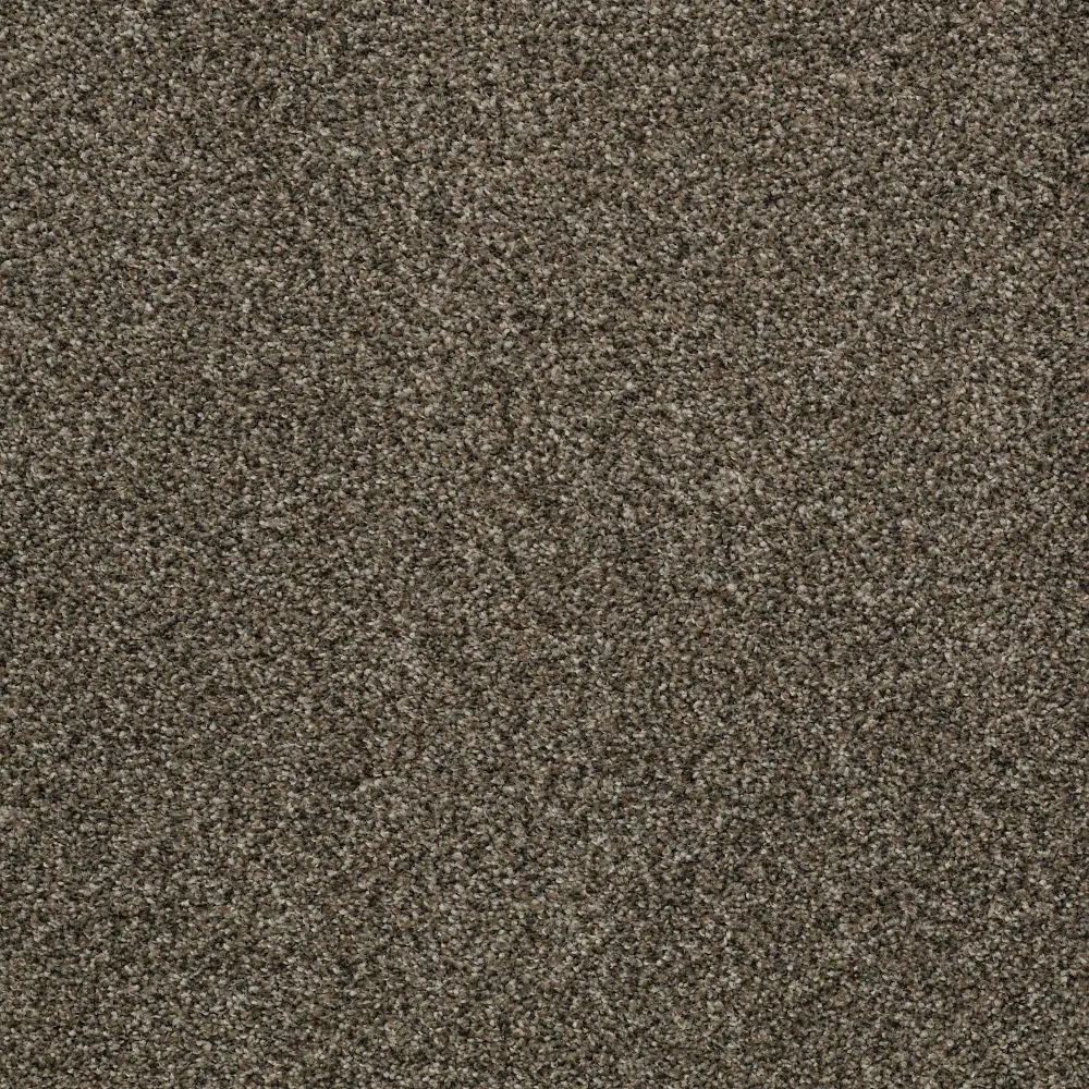 DSW.BEAR.MD Tuftex Bear Carpet-1