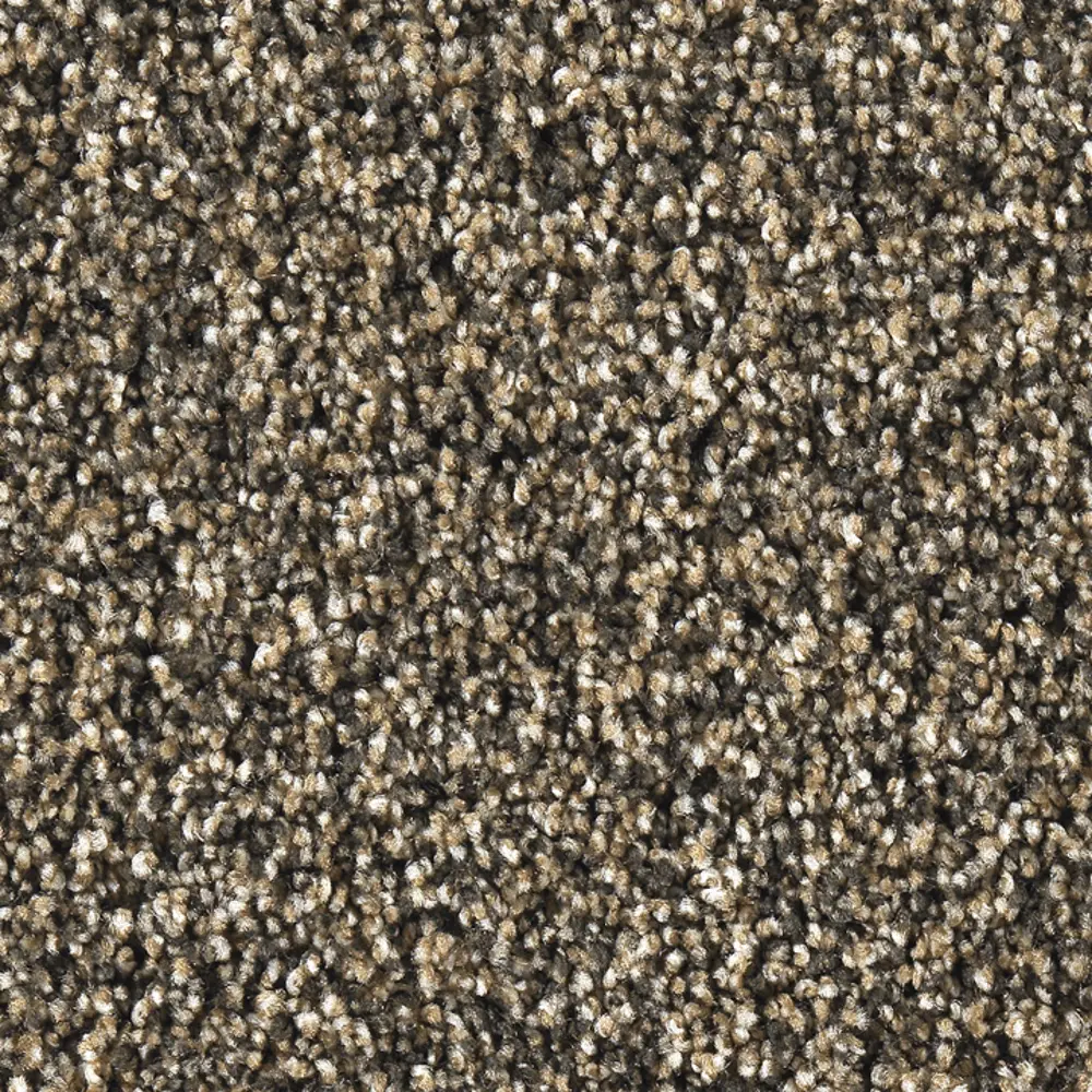 BBFS.SMOOTH.OPERATOR.STOCK Best Buy Smooth Operator Carpet-1