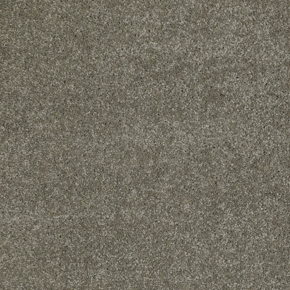 DSW.OUR.PLACE.I Tuftex Our Place I Carpet-1