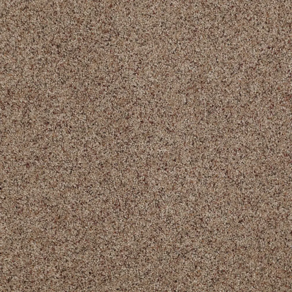 DSW.OUR.PLACE.II Tuftex Our Place II Carpet-1