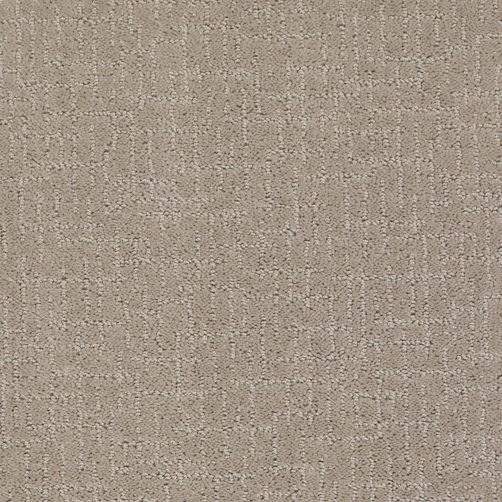 DSW.LONG.GUARDED.MD Tuftex Long Guarded Carpet-2