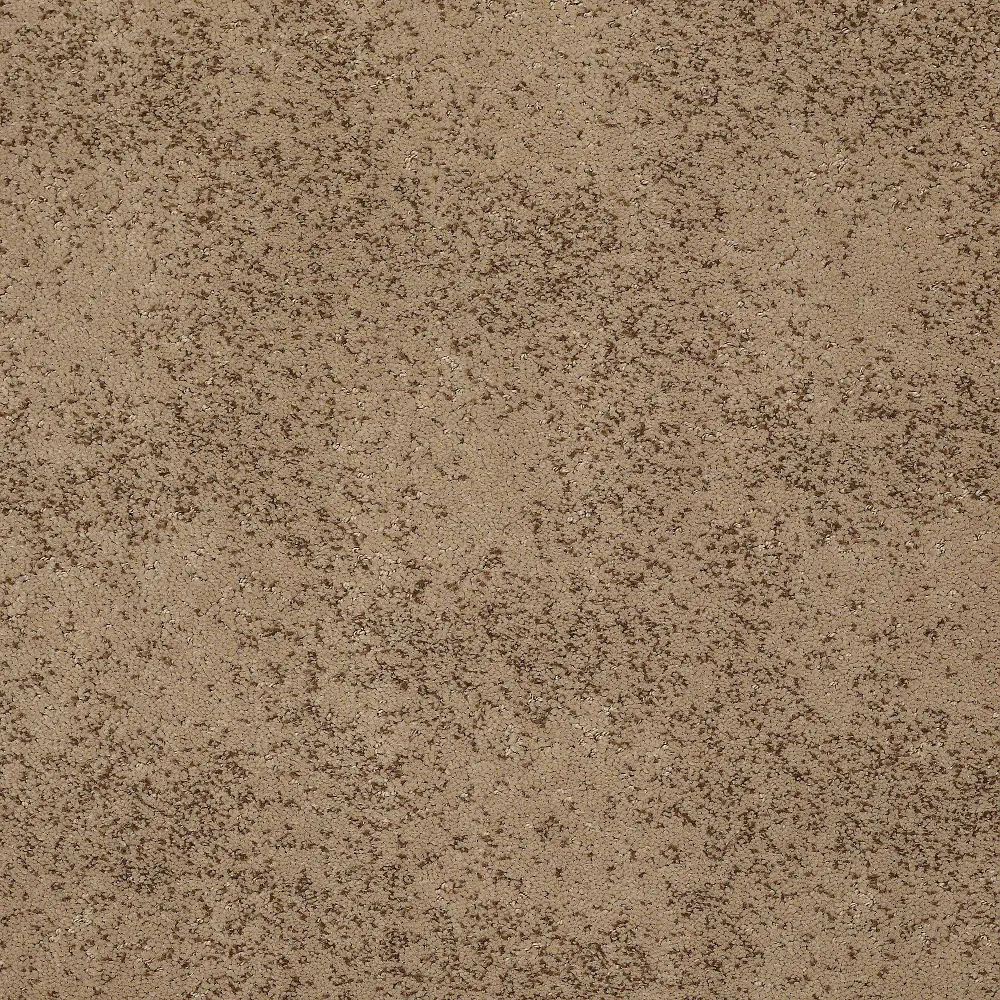 DSW.SARDINIA Tuftex Stain Protection Sardinia Carpet-1