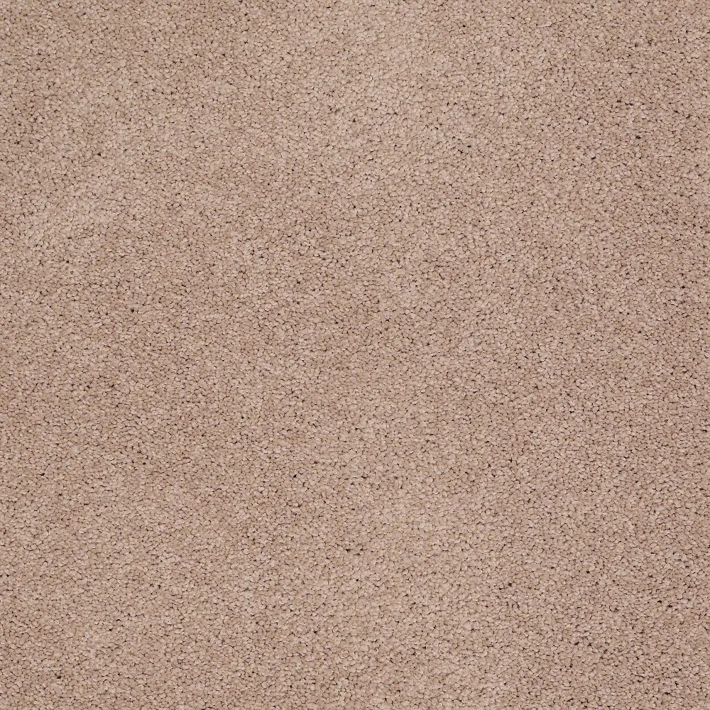 DSW.GOOD.LIFE.MD Tuftex Stain Protection Good Life Carpet-1