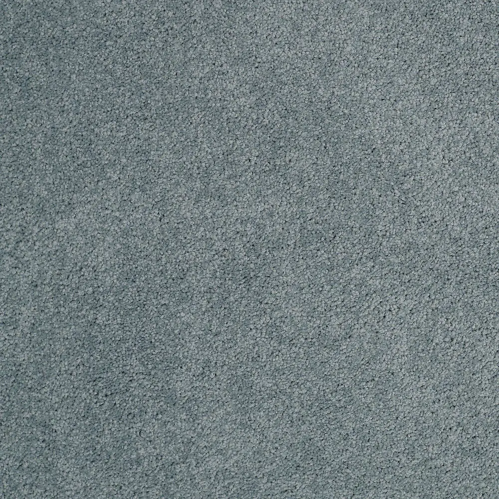 DSW.LIVING.WELL.MD Tuftex Stain Protection Living Well Carpet-1