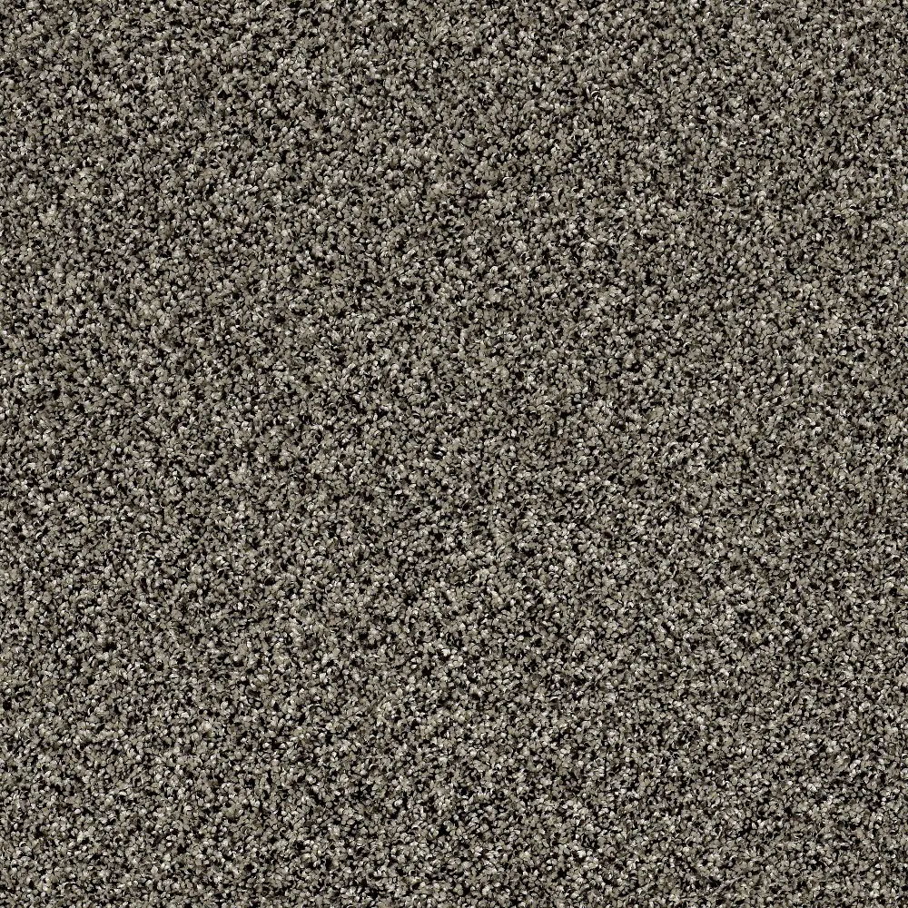 QUE.STUNNING.I.STOCK Shaw Stunning I Carpet-1