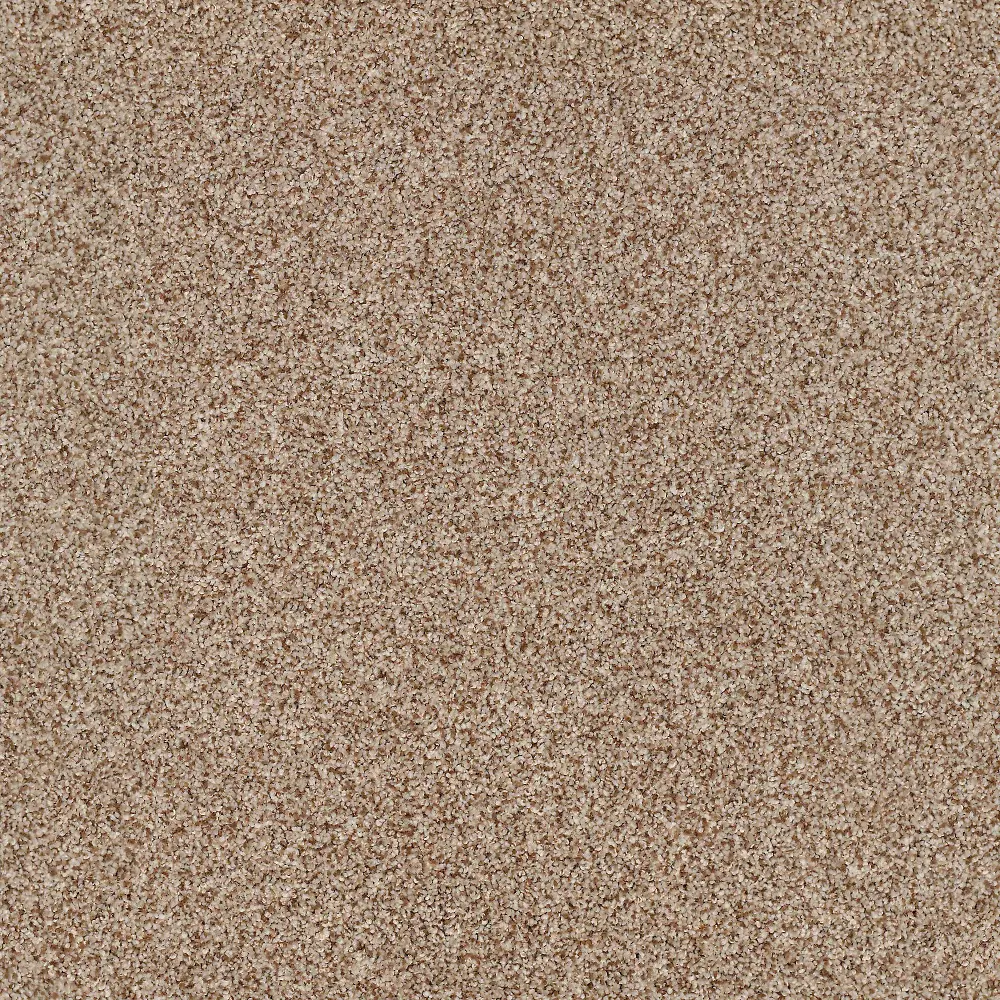  Shaw Stain Protection Amazing Tone II Carpet-1