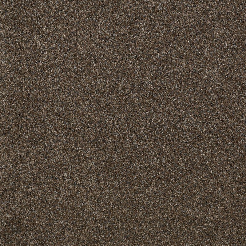 Shaw Platinum Texture Carpet Reviews Home Plan Shaw Timeless Tweed Ii Carpet