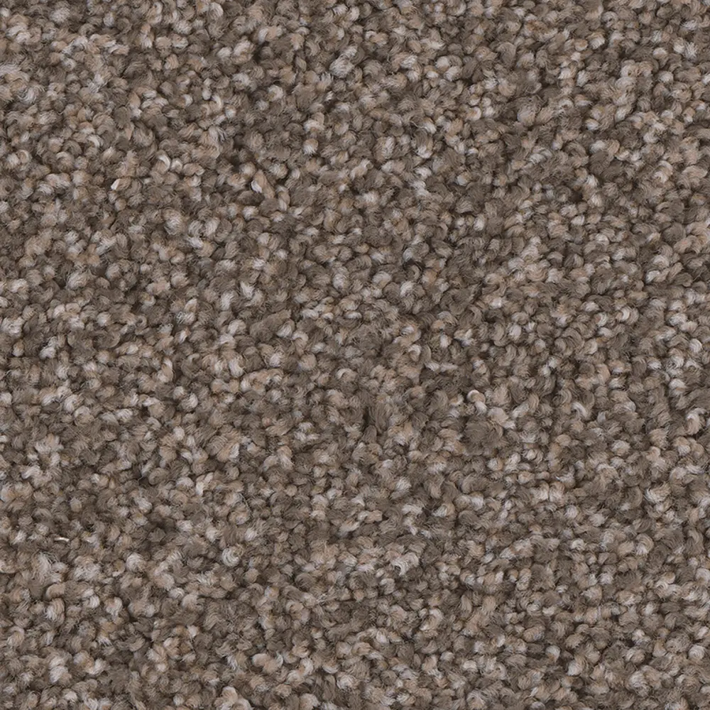 PHN.ENTHRALLED.STOCK Phenix Stain Protection Enthralled Carpet-1