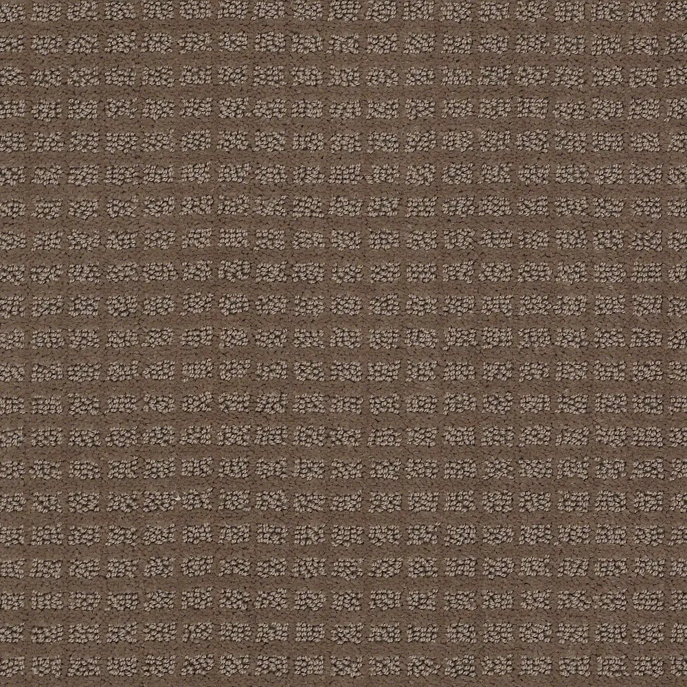 DSW.URBAN.ALLEY Tuftex Urban Alley Carpet-1