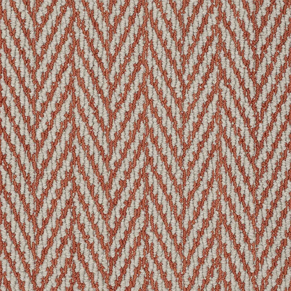 DSW.ECHO.BEACH.II.MD Tuftex Private Eyes II Carpet-1