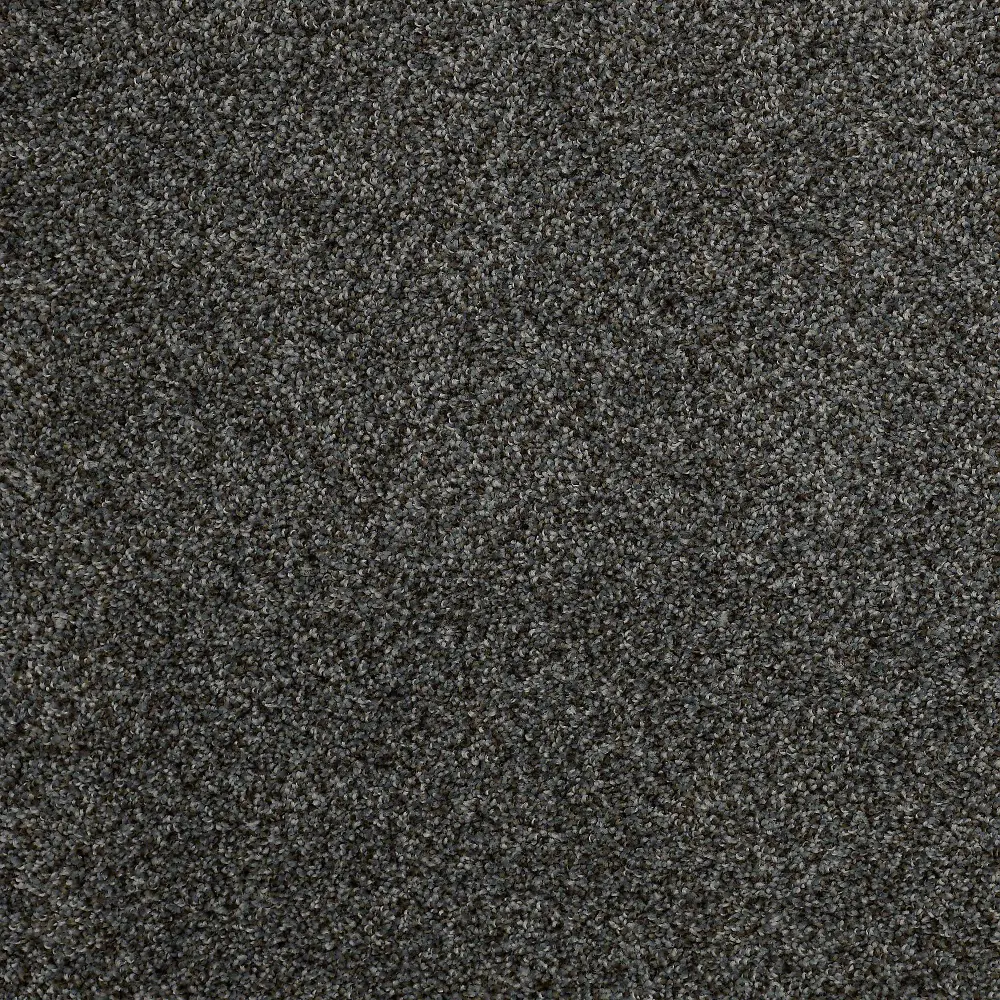 DSW.HOLLISTER Tuftex Hollister Carpet-1