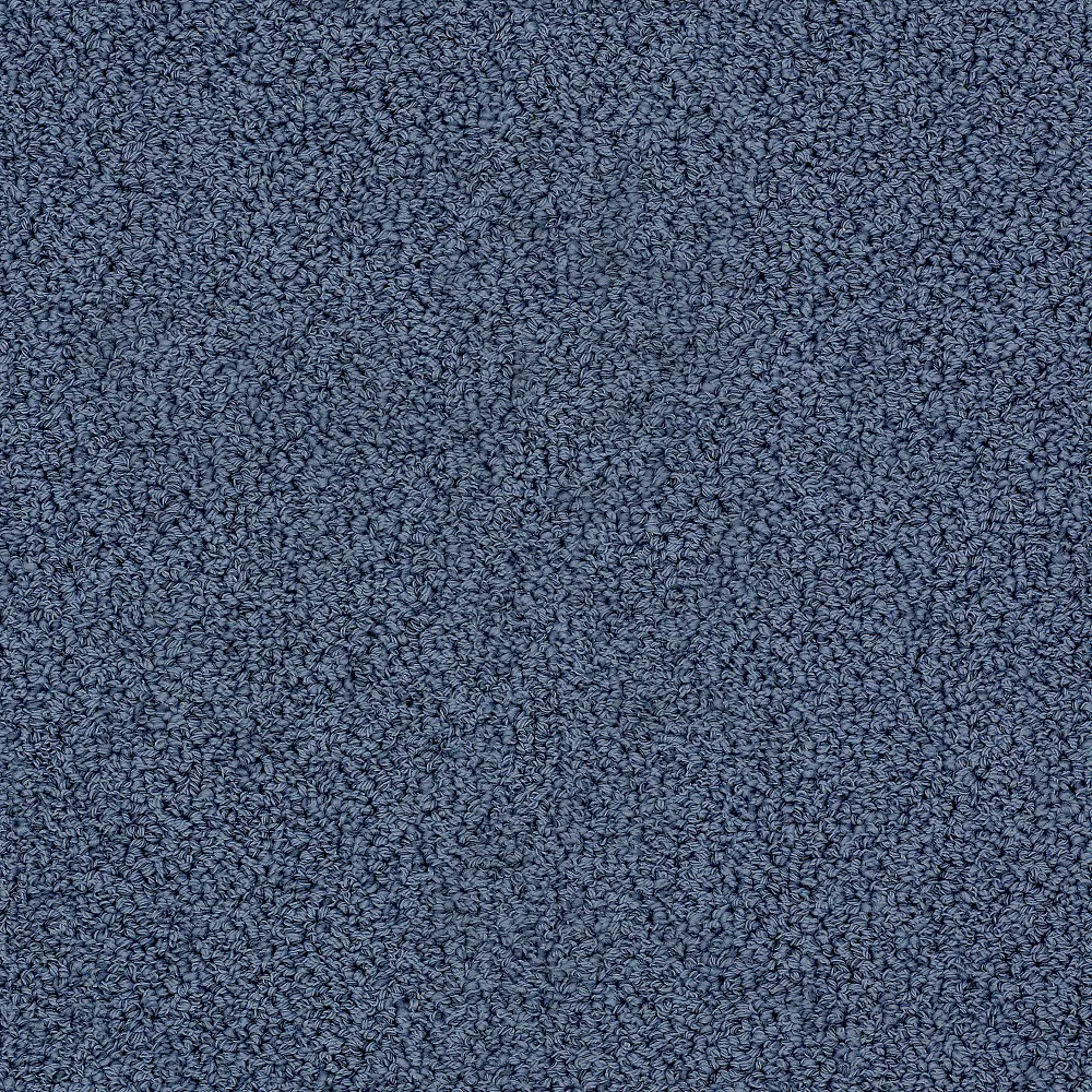 DSW.EMPRESS Tuftex  Empress Carpet-1