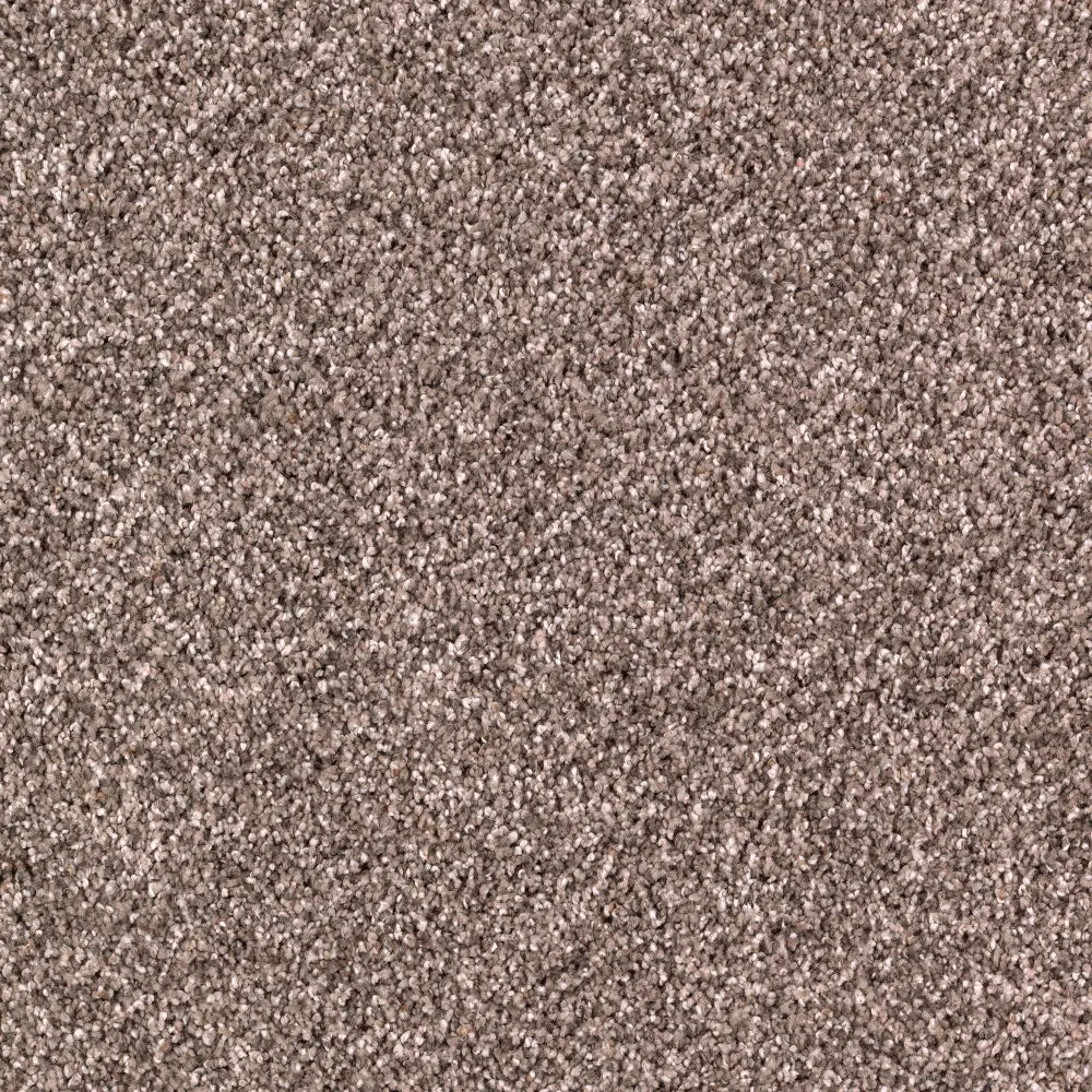 KAR.FORMAL.EMBRACE.STOCK Karastan Formal Embrace Carpet-1