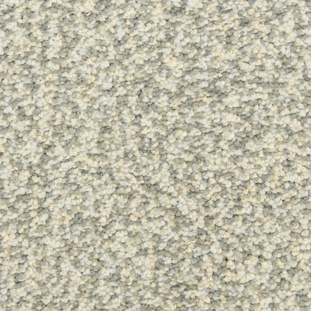 BRE.MAIN.STAY.MD Dixie Stain Protection Main Stay Carpet-1