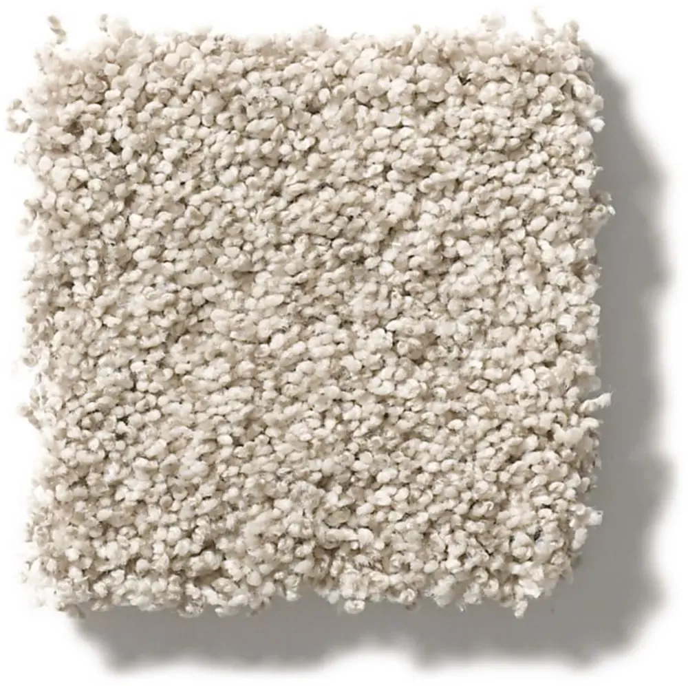 DSW.TERRA.LINDA.STOCK Tuftex Stain Protection Terra Linda Carpet-1